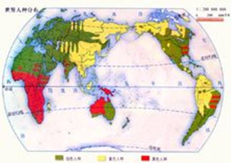 世界人种分布图